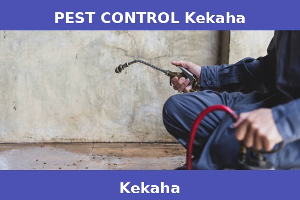PEST CONTROL Kekaha